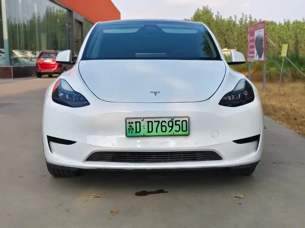 Tesla Model Y — миниатюра 2