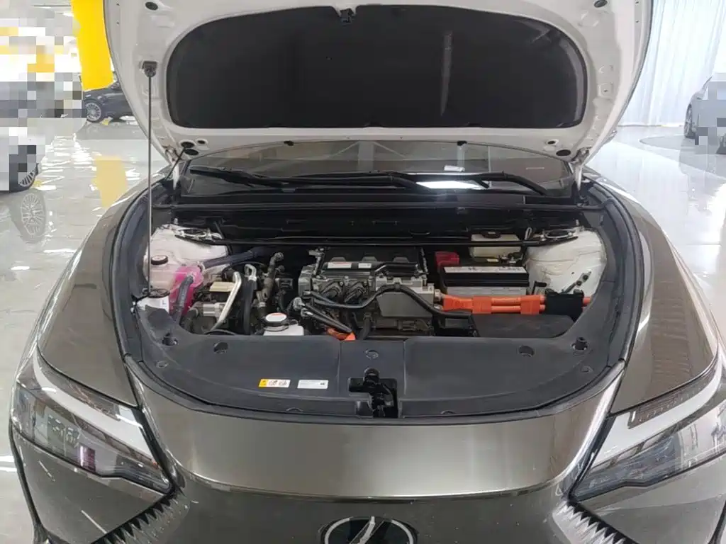 Lexus RZ — миниатюра 20