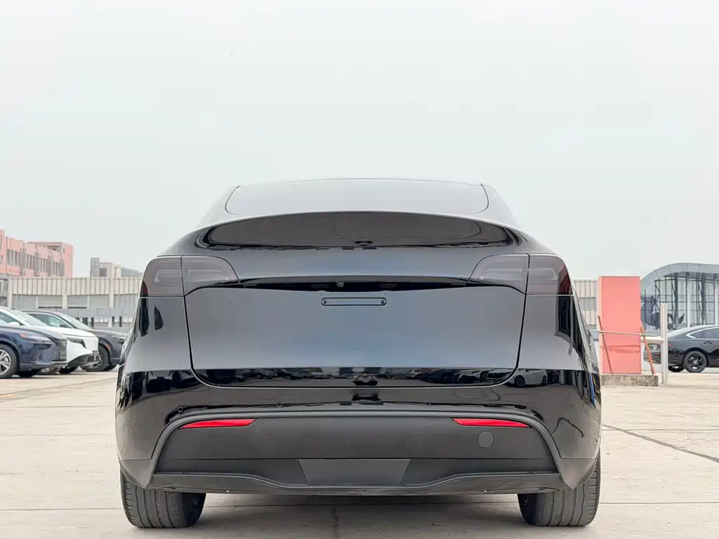 Tesla Model Y — фотографии объявления, Фото 11