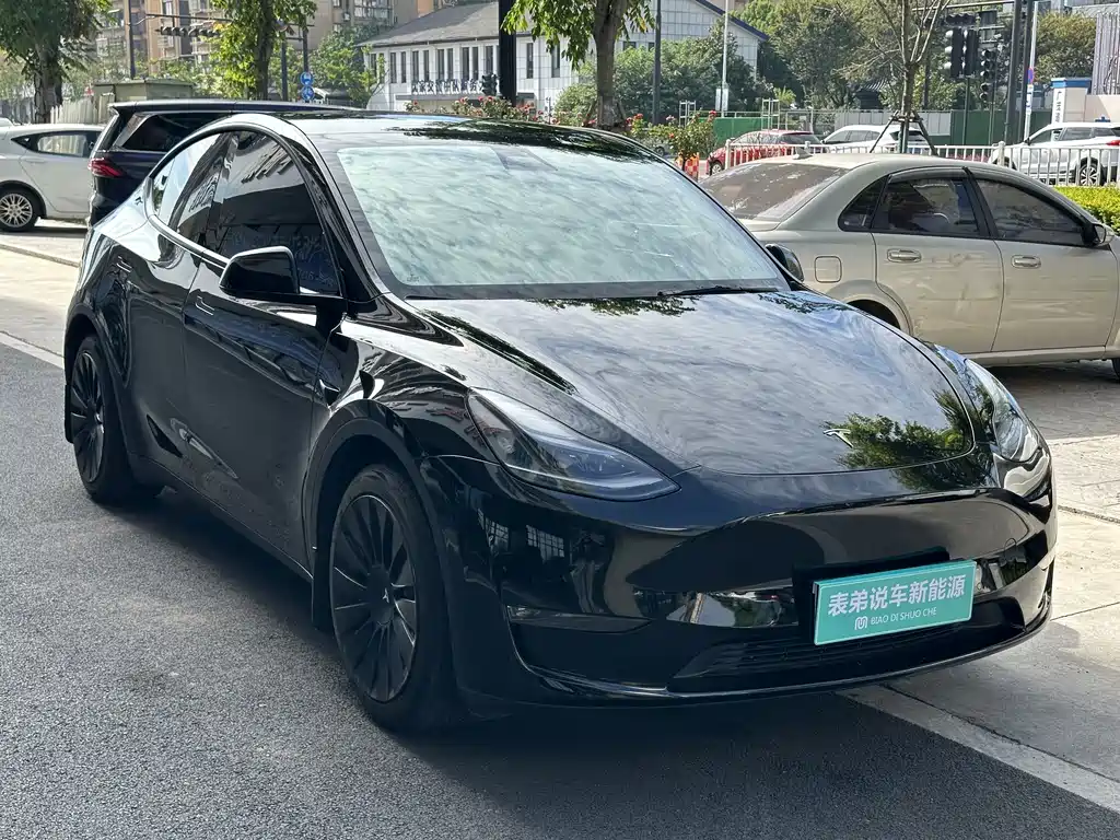 Tesla Model Y — миниатюра 6