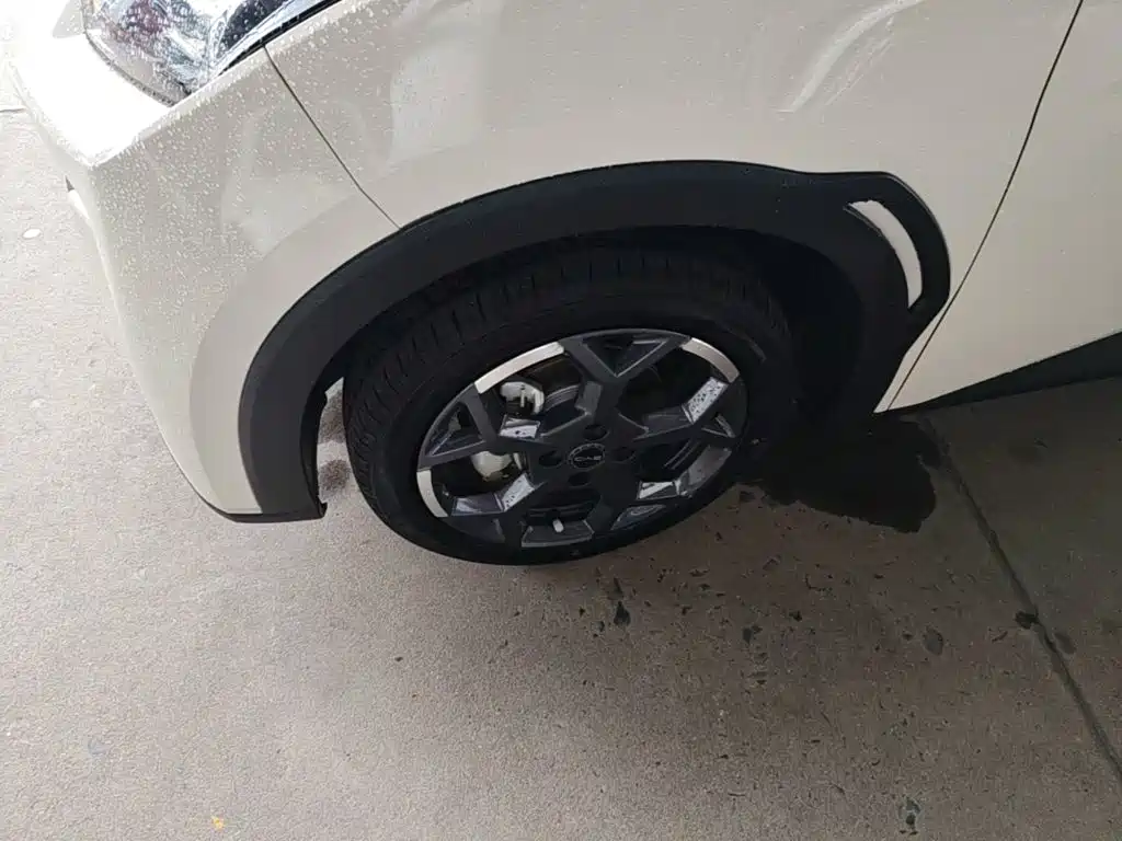 BYD Seagull — миниатюра 23