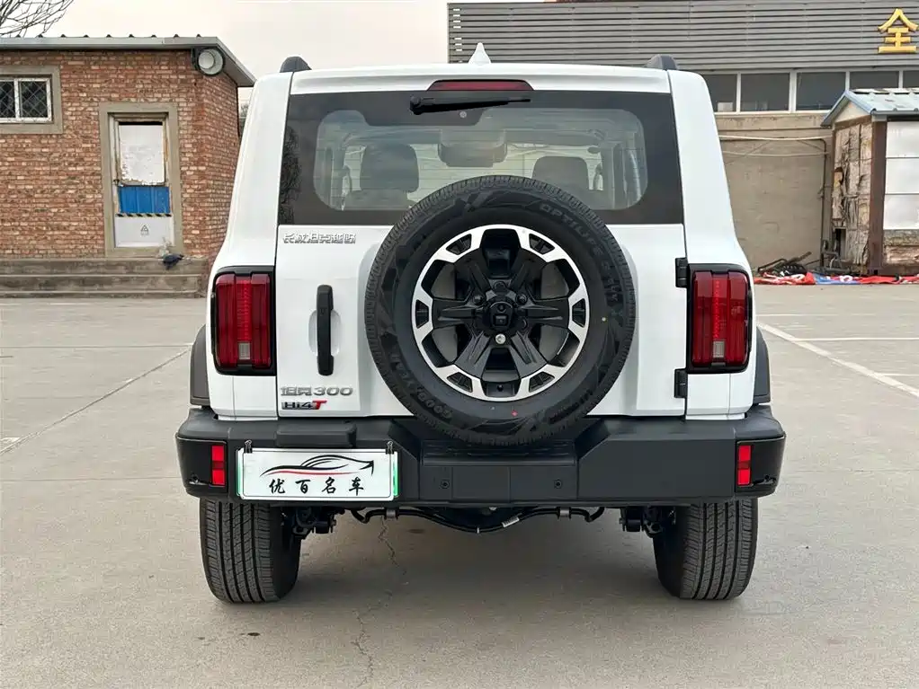 TANK TANK 300 NEW ENERGY