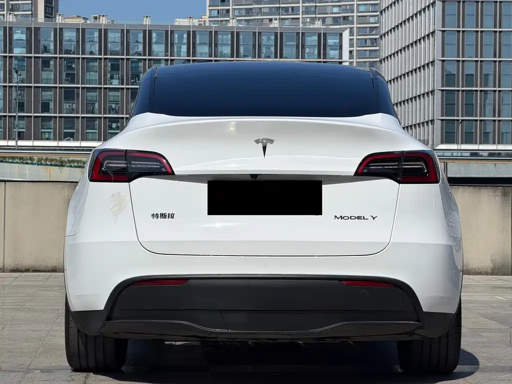 Tesla Model Y — миниатюра 9