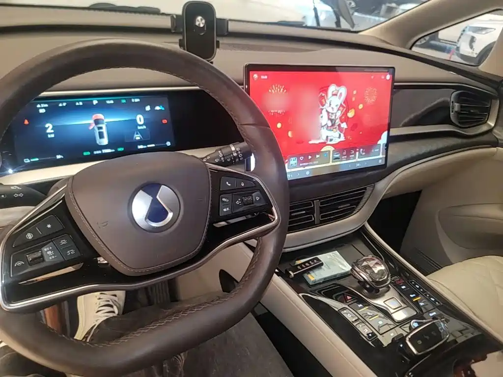 Denza Denza D9 — миниатюра 10