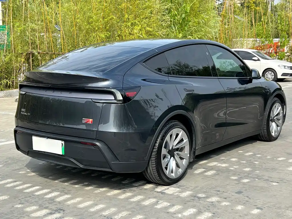 Tesla Model Y — миниатюра 9