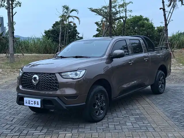 GREAT WALL CANNON 2022