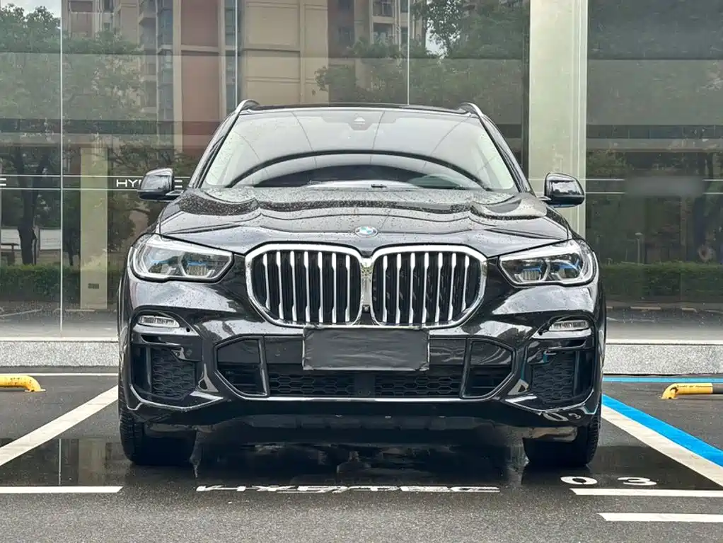 BMW X5 (Import) — миниатюра 10