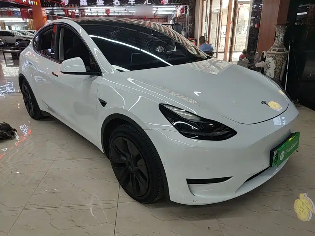 Tesla Model Y — миниатюра 4