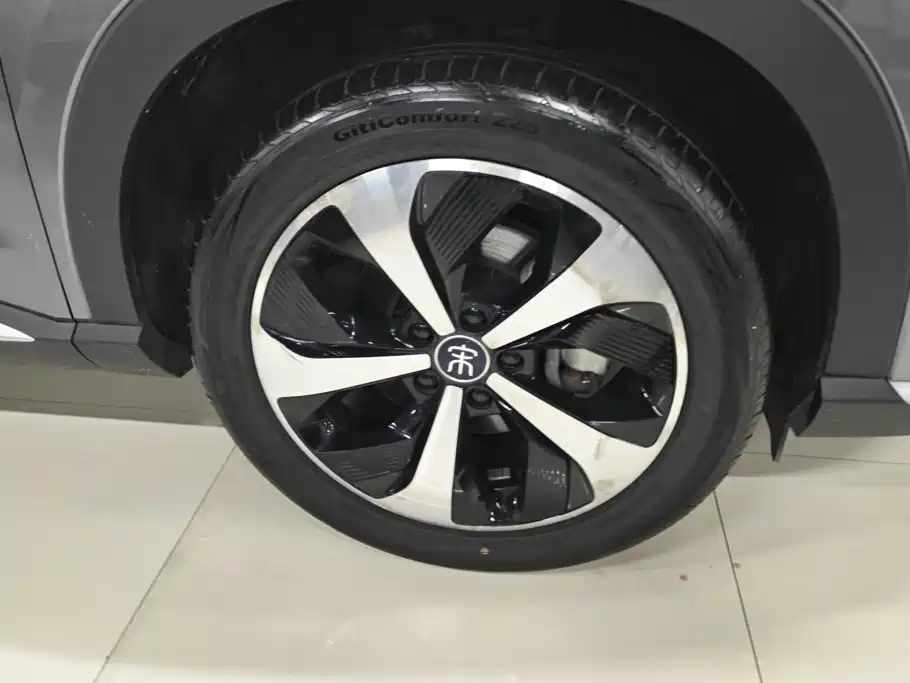 BYD PLUS New Energy — миниатюра 6