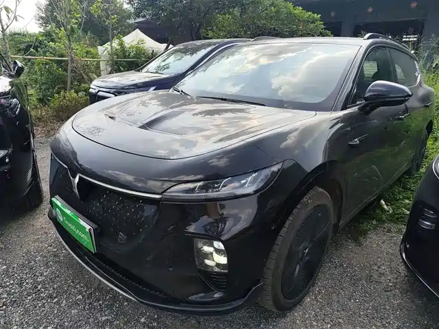 LANTU AUTOMOBILE LAN TU ZHIYIN 2024