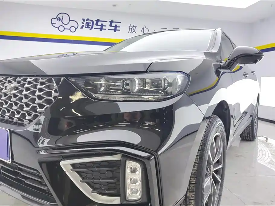 WEI PAI WEI BRAND VV5