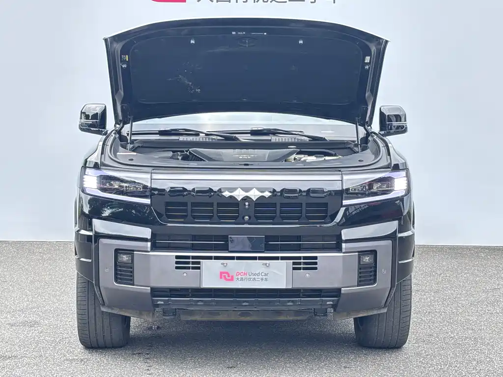 Fang Cheng Bao Leopard 8 — миниатюра 9