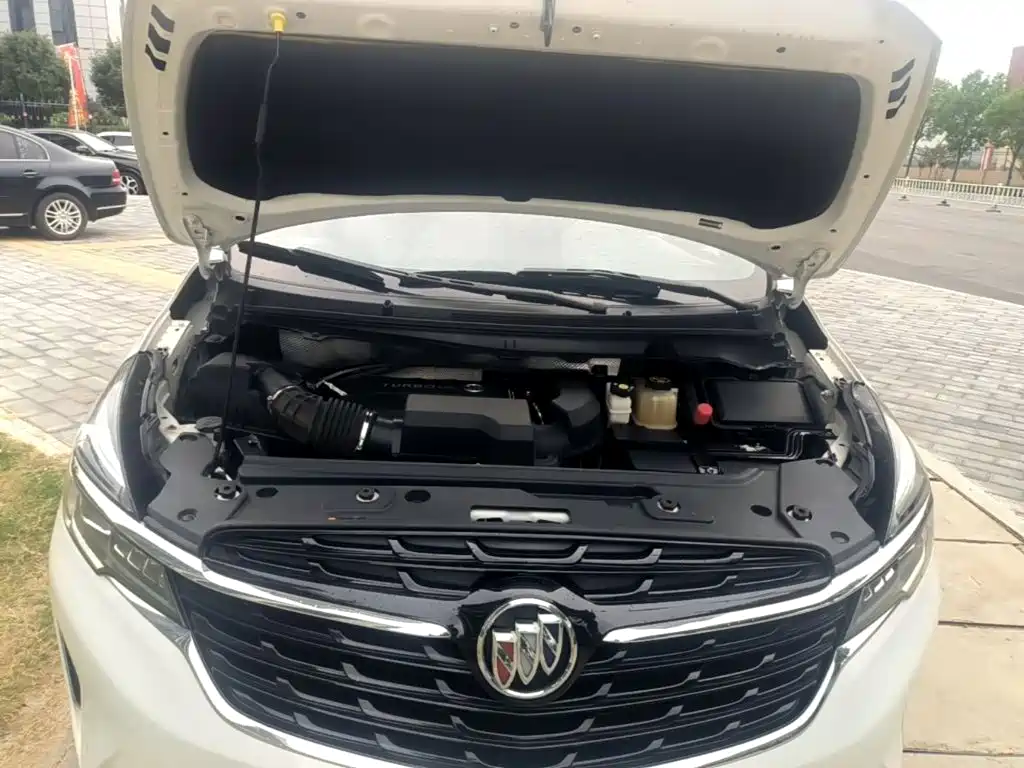 Buick GL8 — миниатюра 20