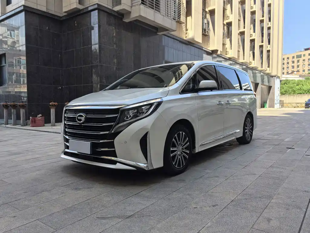 2021 GAC GN8 - zdjęcie 1 z 17