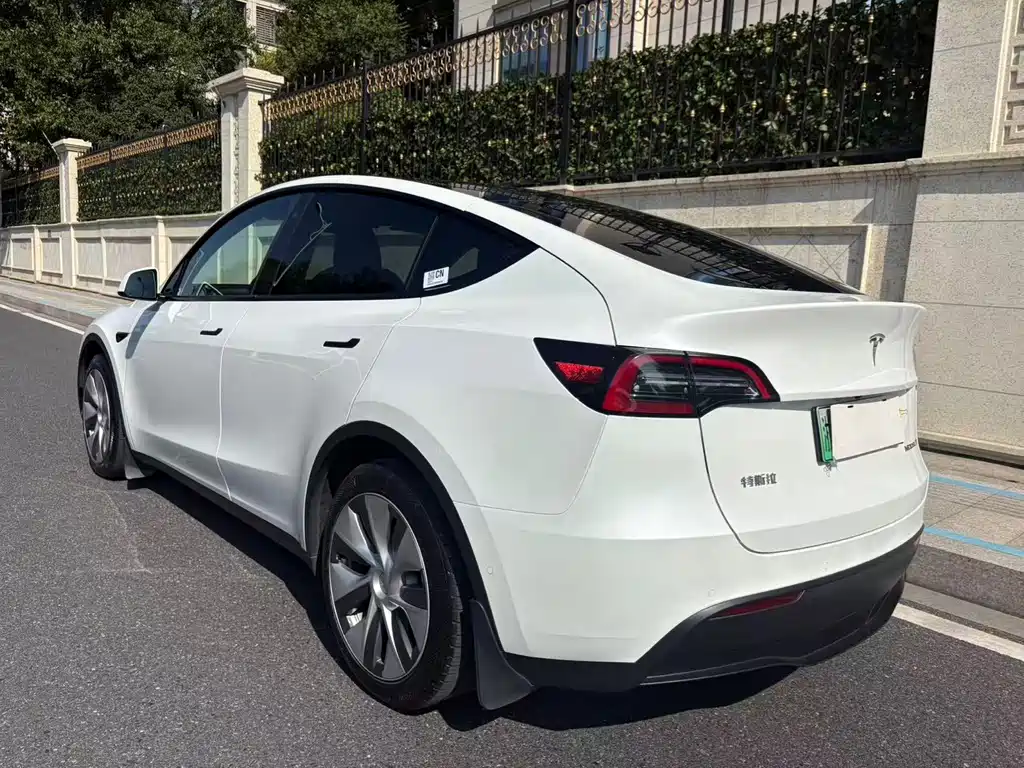 Tesla Model Y — миниатюра 5