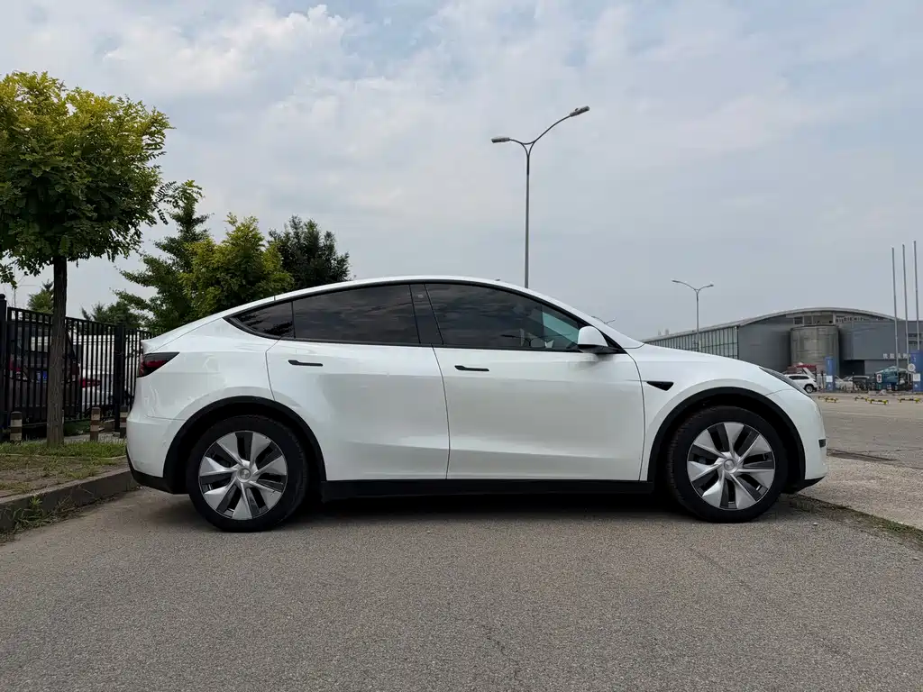 Tesla Model Y — миниатюра 7