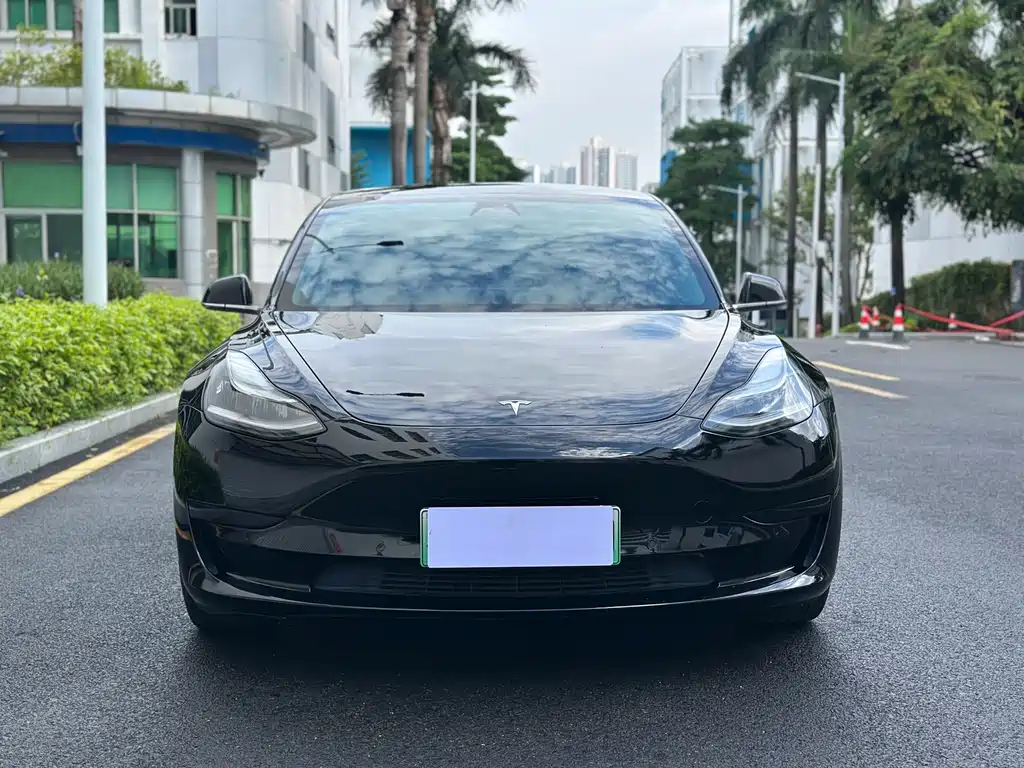 Tesla Model 3 — миниатюра 2