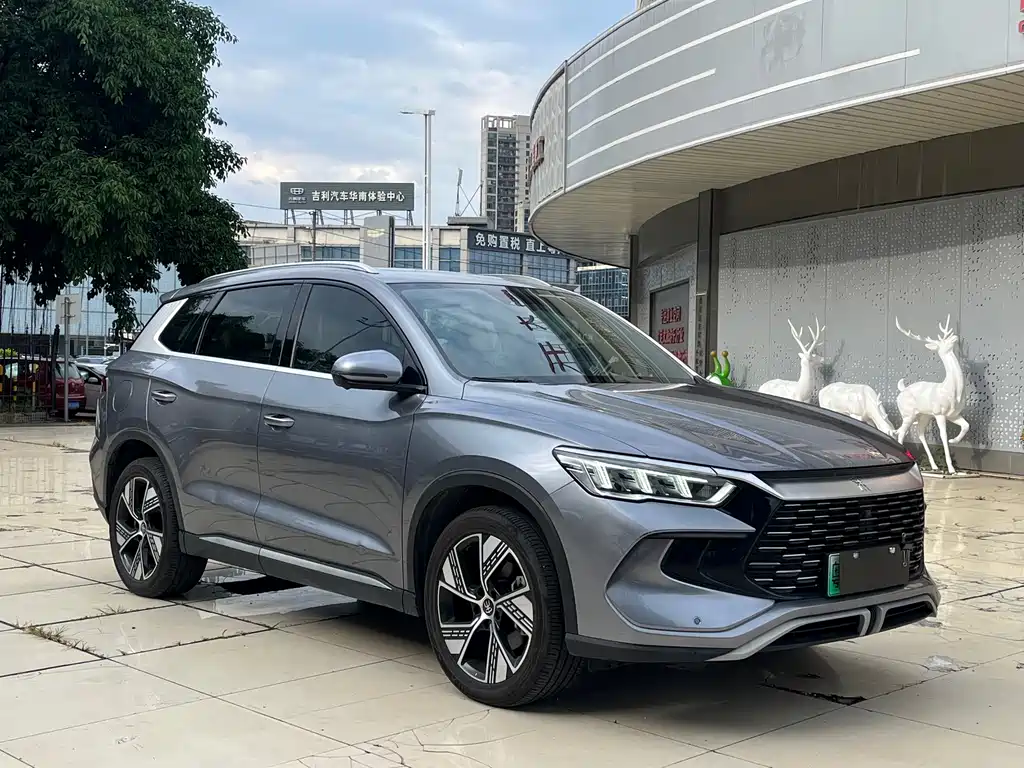 BYD Pro New Energy — миниатюра 3