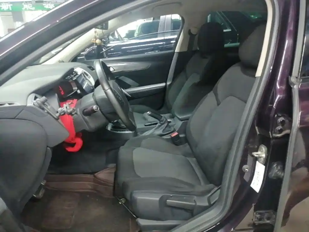 DS DS 5LS — миниатюра 15