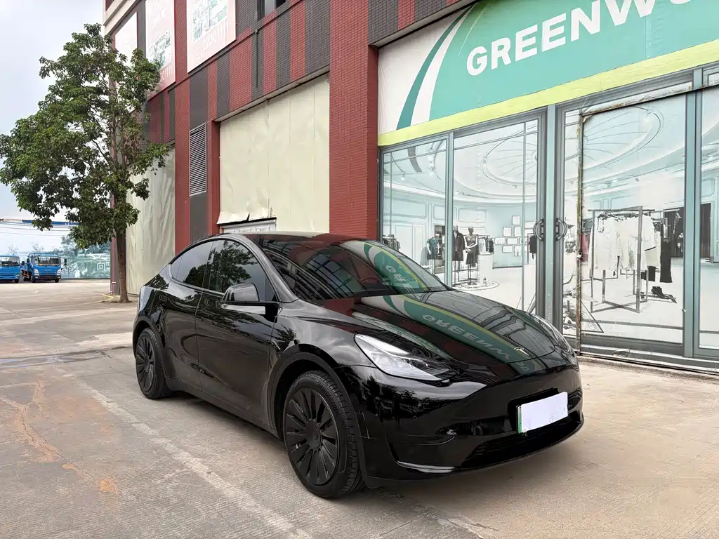 Tesla Model Y — миниатюра 3