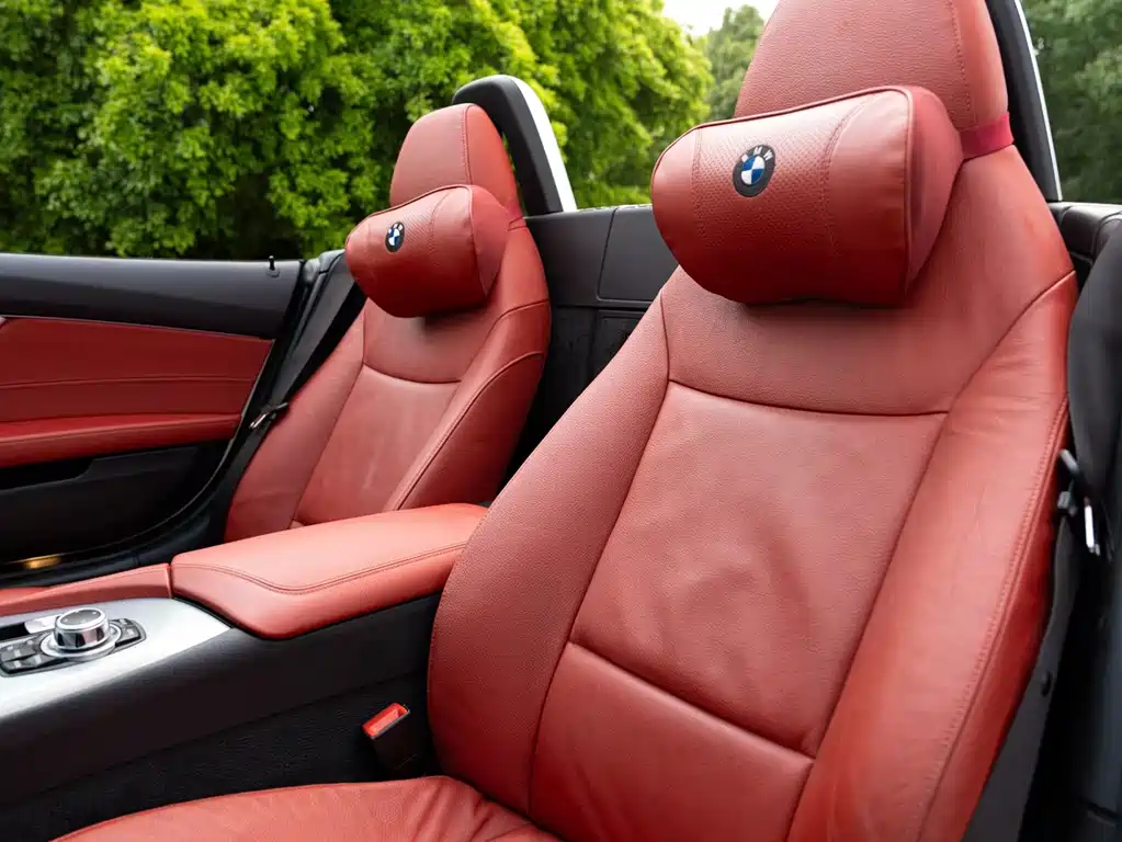 BMW Z4 sDrive20i Leading Type, фото 5
