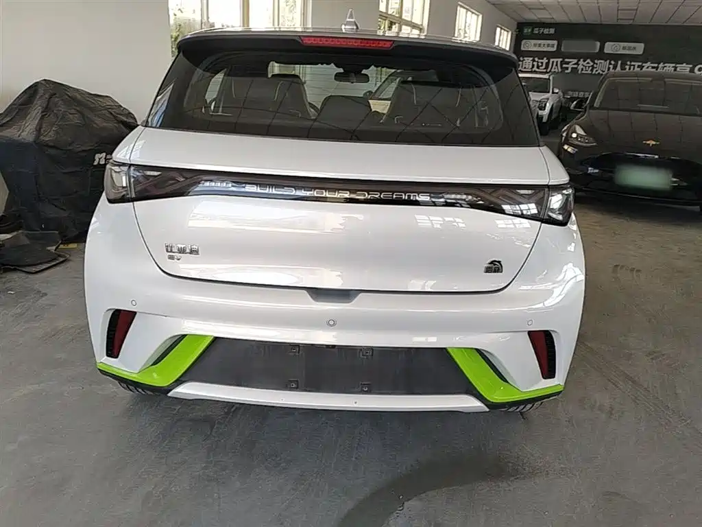 BYD Dolphin 2021 405km Fashion