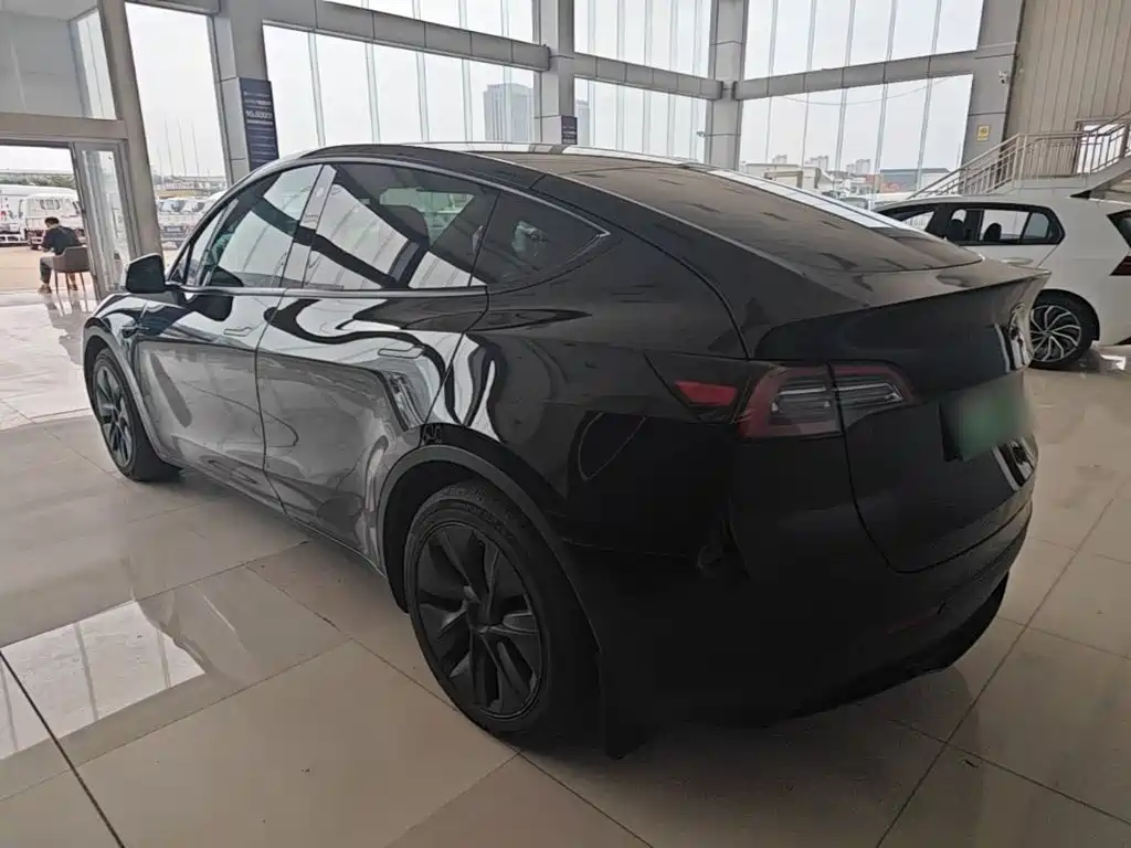 Tesla Model Y — миниатюра 5