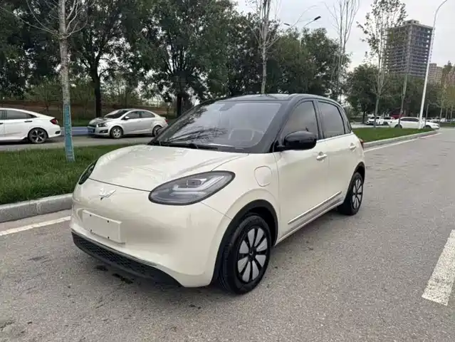 WULING AUTOMOBILE WULING BINGGUO 2025