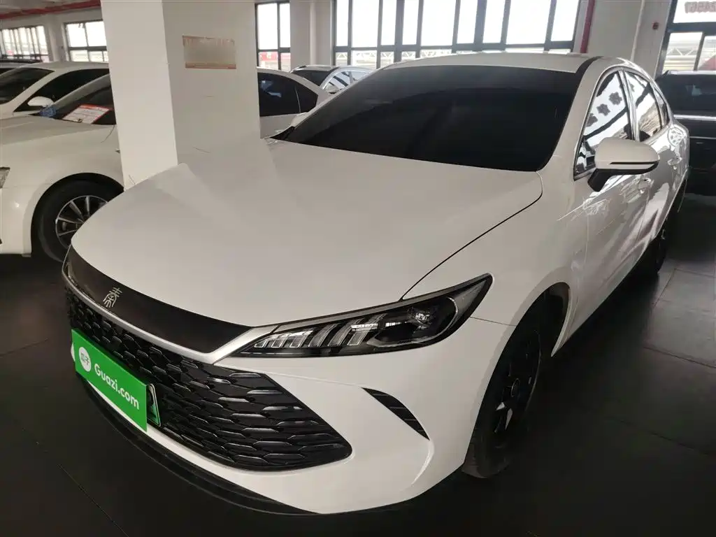BYD Qin Plus PLUS 2025 DM-i Smart Drive 55KM Lead