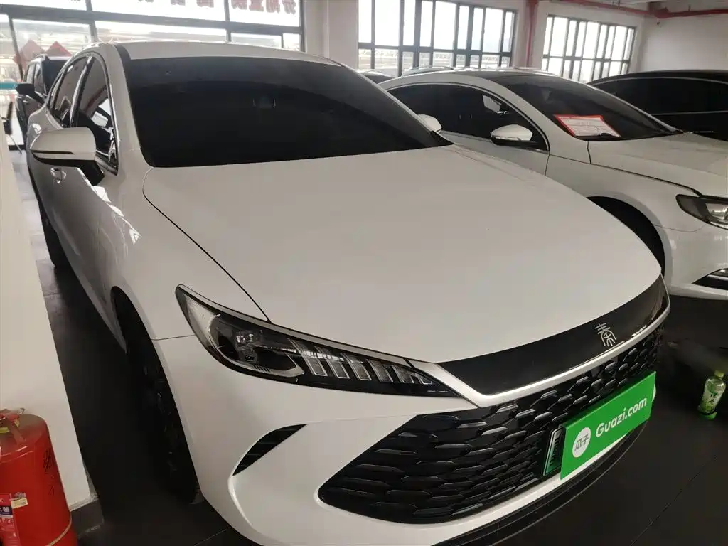 BYD Qin Plus PLUS 2025 DM-i Smart Drive 55KM Lead