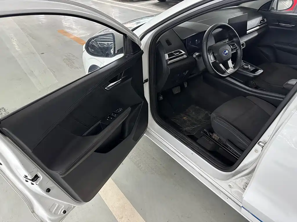 BYD e2 — миниатюра 9