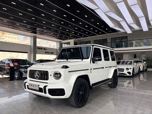 MERCEDES-BENZ G CLASS