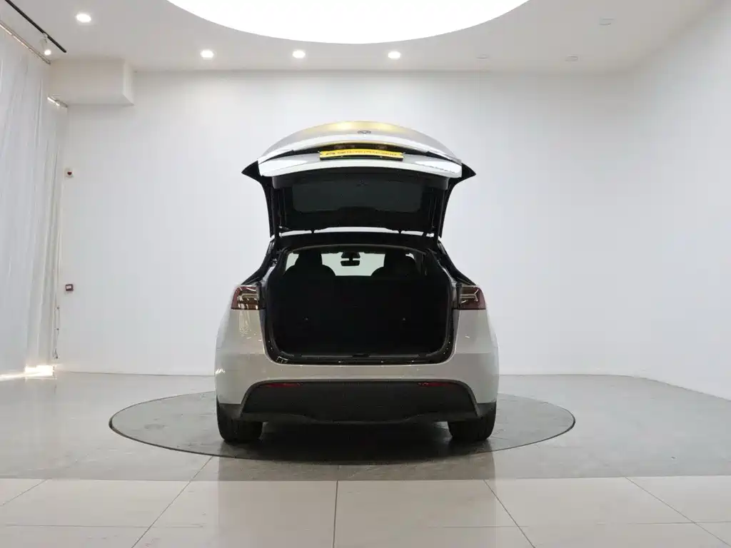 Tesla Model Y — миниатюра 9