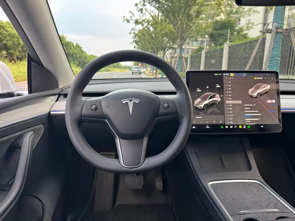 Tesla Model Y — миниатюра 13