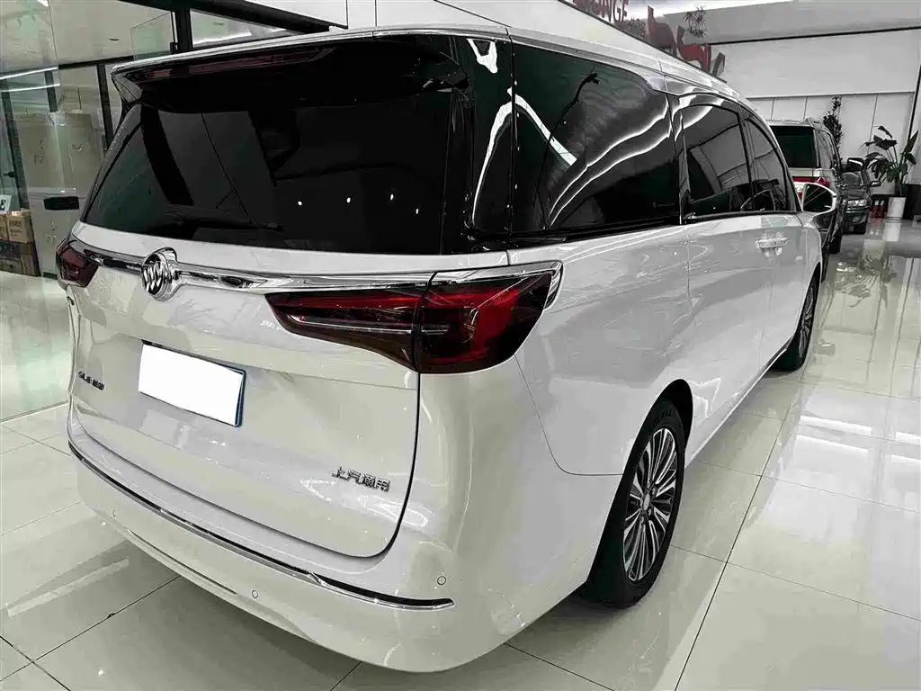 Buick GL8 — миниатюра 16