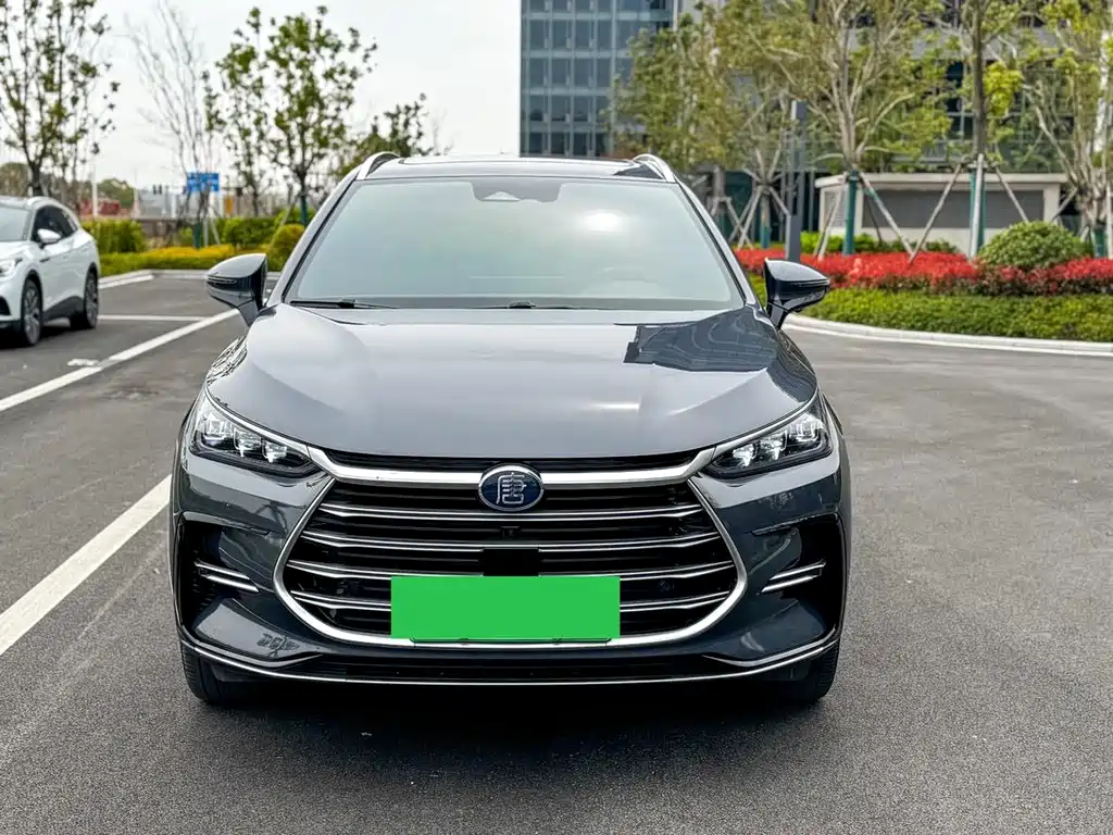 BYD Tang New Energy — миниатюра 2