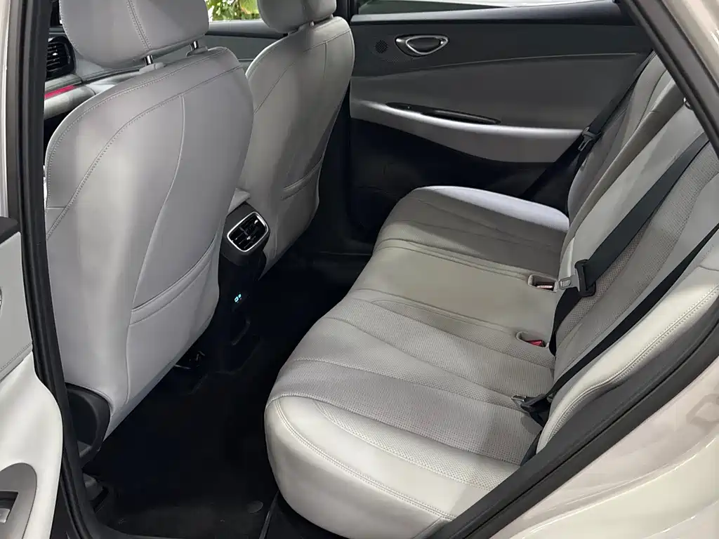 BYD Haisi 06 — миниатюра 14