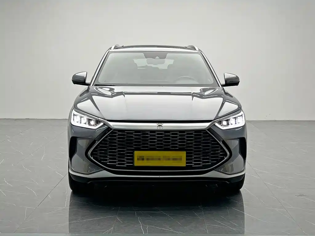 BYD PLUS New Energy — миниатюра 2