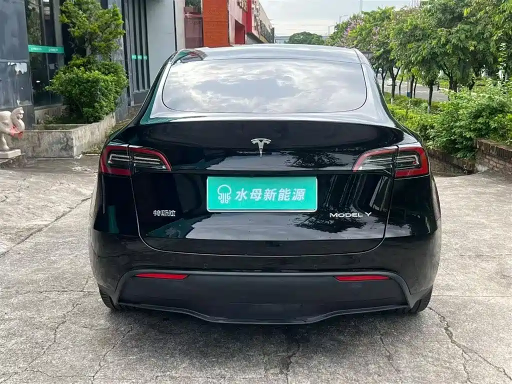 Tesla Model Y — миниатюра 7