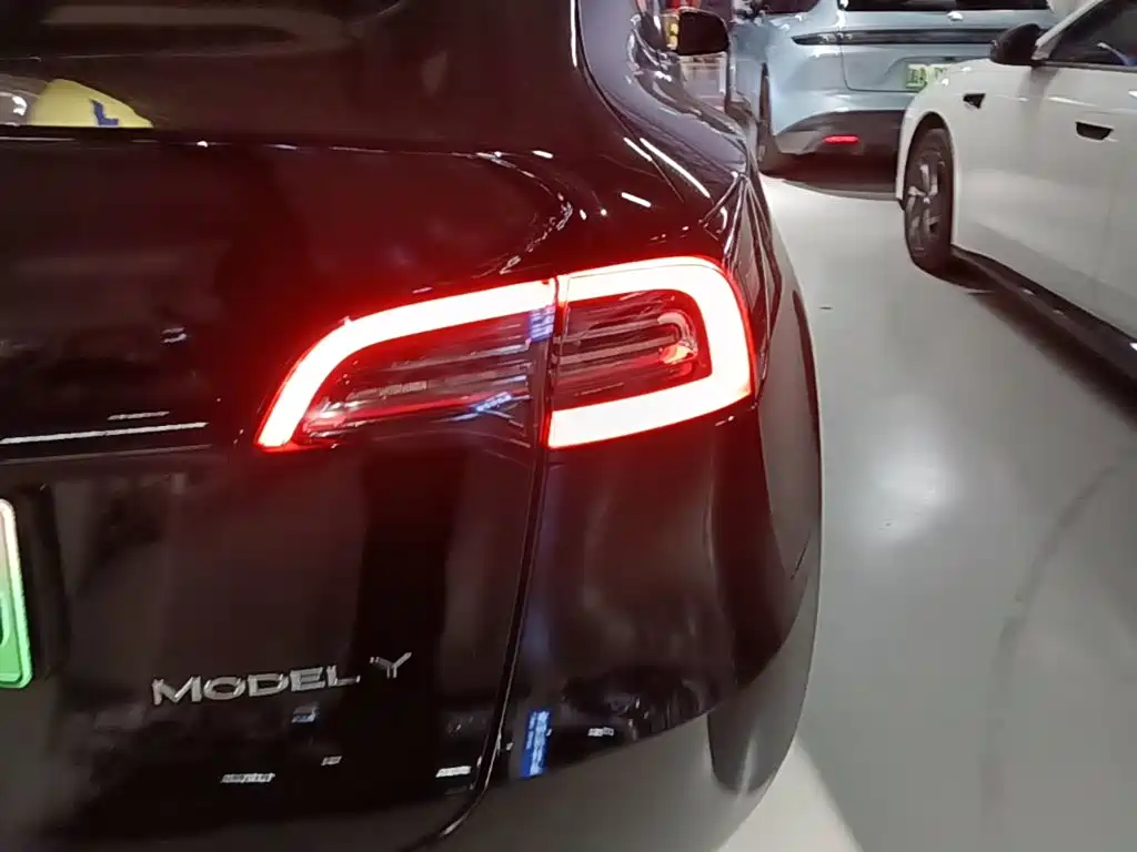 Tesla Model Y — миниатюра 8