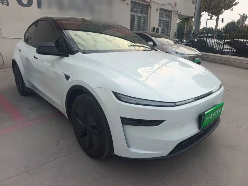 Tesla Model Y — миниатюра 4