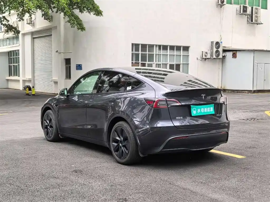 Tesla Model Y — миниатюра 6