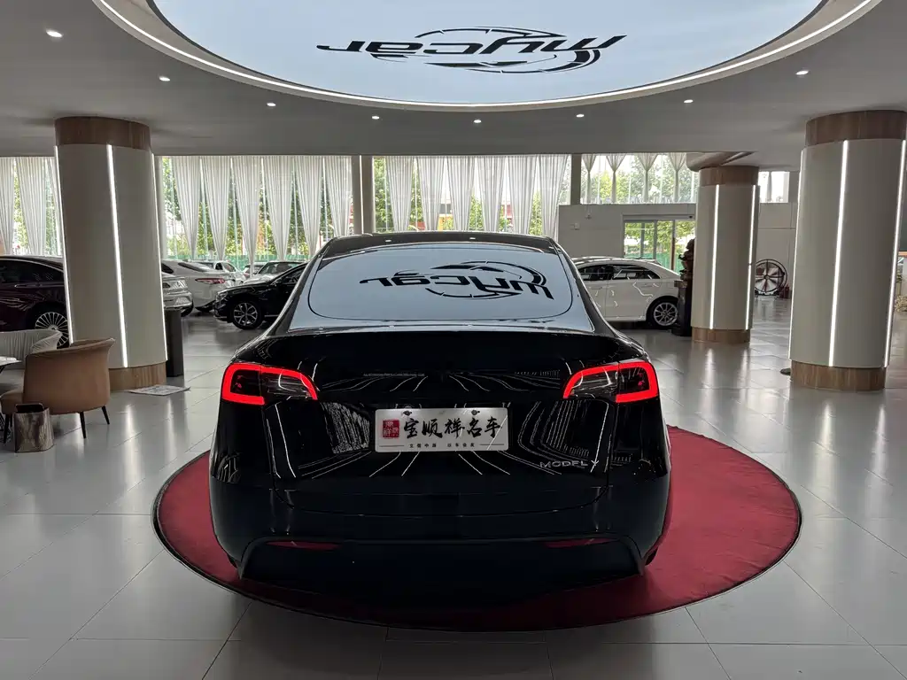 Tesla Model Y — миниатюра 6