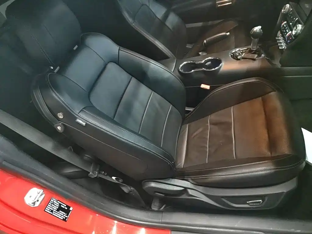 Ford Mustang — миниатюра 25