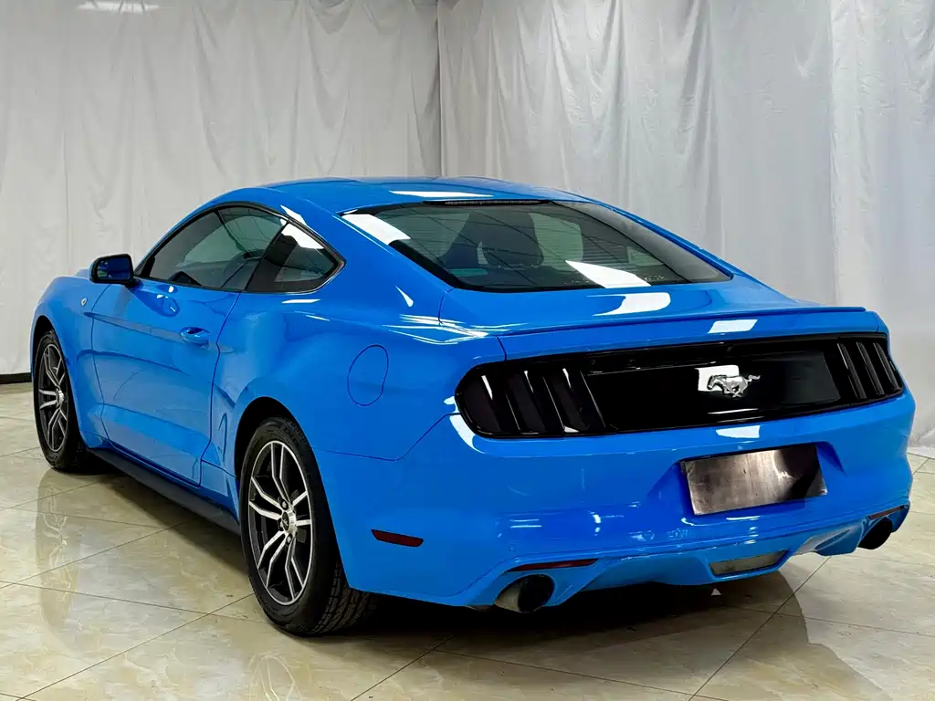 Ford Mustang 2.3T Performance Edition, фото 10