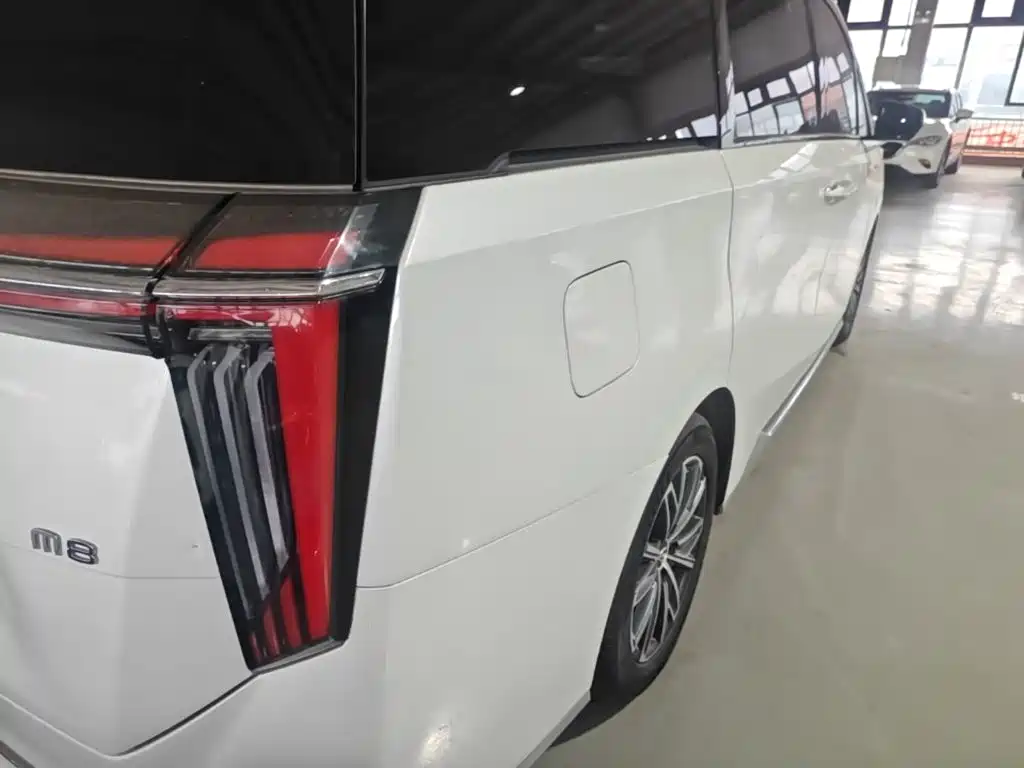 GAC Motor Trumpchi M8 — миниатюра 8