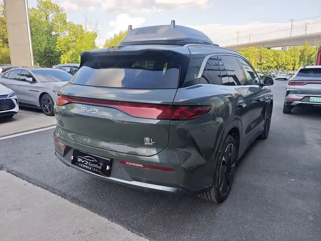 BYD Дон Л. — миниатюра 4