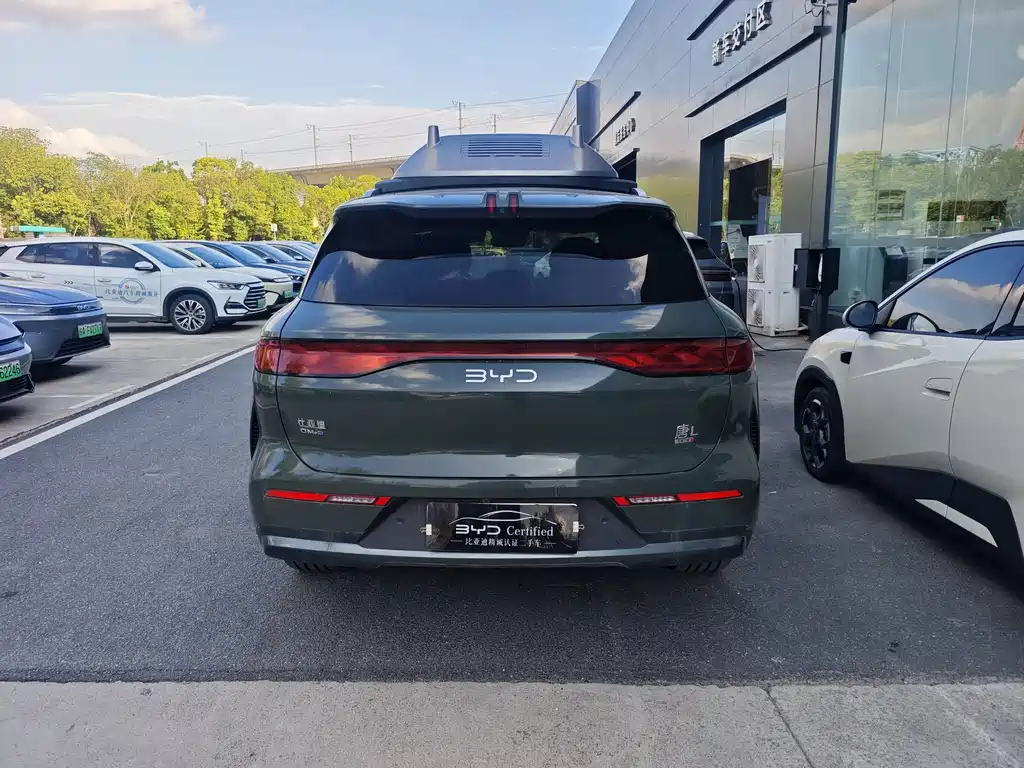 BYD Дон Л. — миниатюра 5