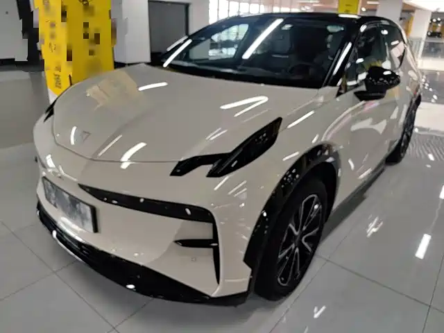 2024 Zeekr X