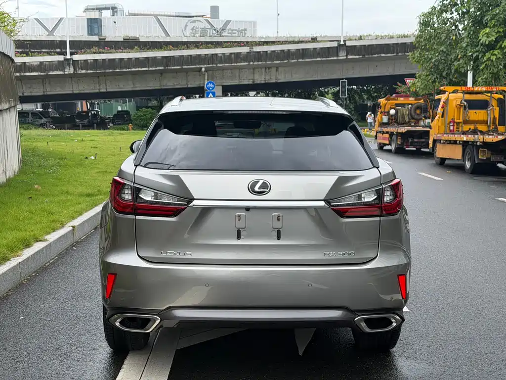 Lexus RX — миниатюра 17